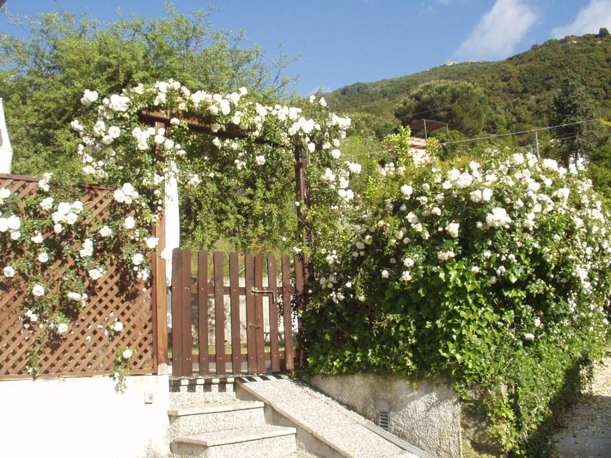 Villa Dei Limoni Sant'Andrea  Buitenkant foto